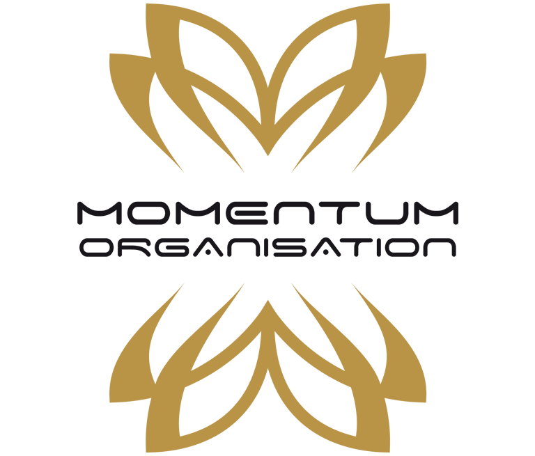 Momentum Grup